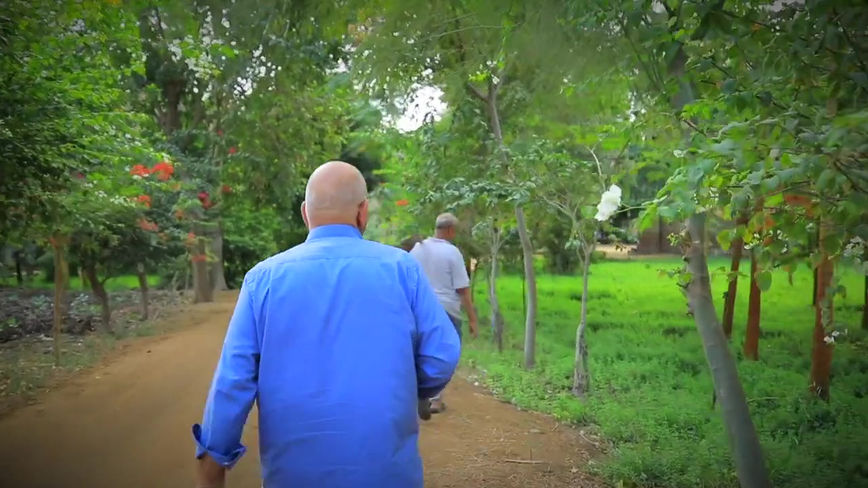 WEAVING ART - WISSA WASSEF 2020